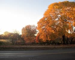 img-1